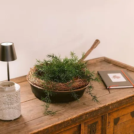 Nicos Daheim * سول